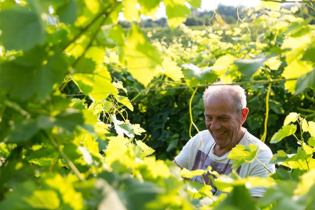 Villa Prosecco Tarzo Zewnętrze zdjęcie