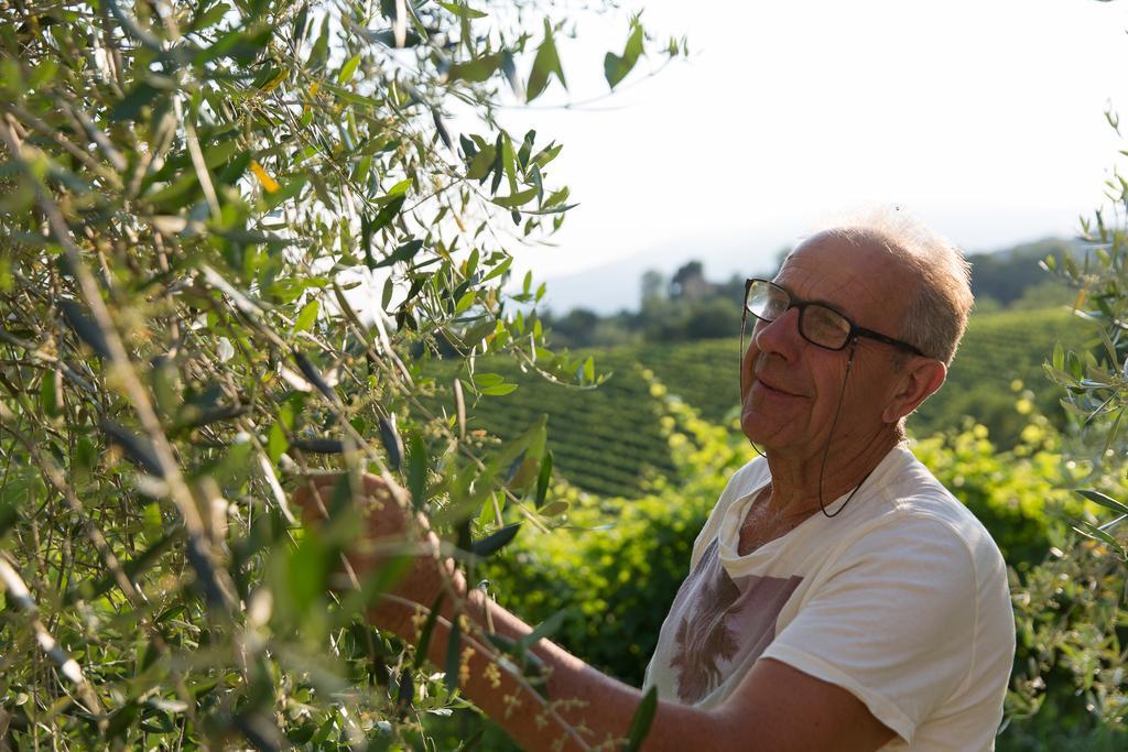 Villa Prosecco Tarzo Zewnętrze zdjęcie